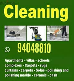 Sofa Deep Clean And Apartment Cleaning Service 94048810