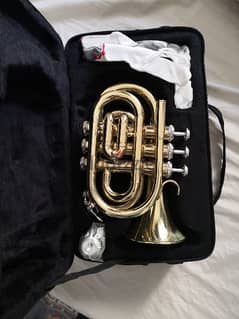 Mini Trumpet Bb