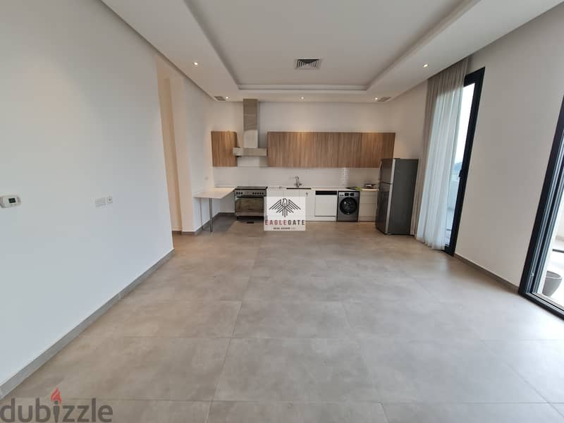 Fantastic modern 2 bedroom apartment with Terrace 1