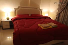 Stylish & modern furnished 1 or 2 bedroom apt in fintas 0