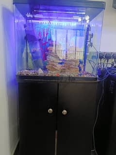 Fish aquarium like new with all accessories