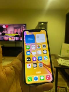 VERY GOOD CONDITION iPhone XR