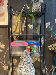 Ikea Plants Keeper Glass stand 0
