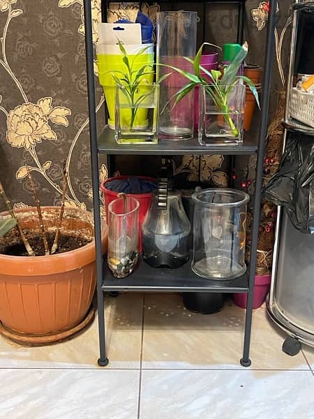 Ikea Plants Keeper Glass stand 2