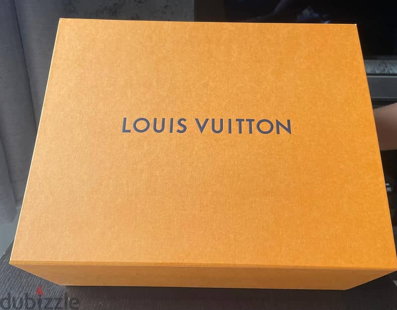 Brand New Unused Louis Vuitton Original Handbag with LV Box 7