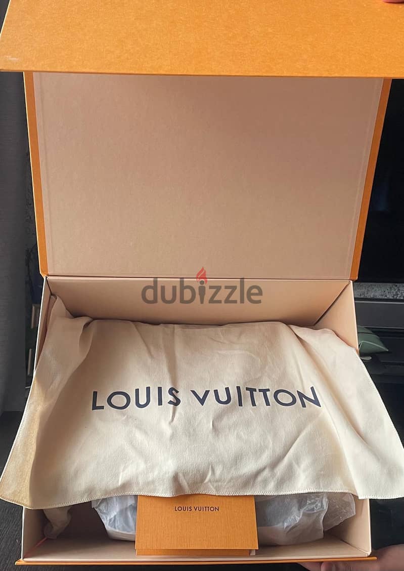 Brand New Unused Louis Vuitton Original Handbag with LV Box 8