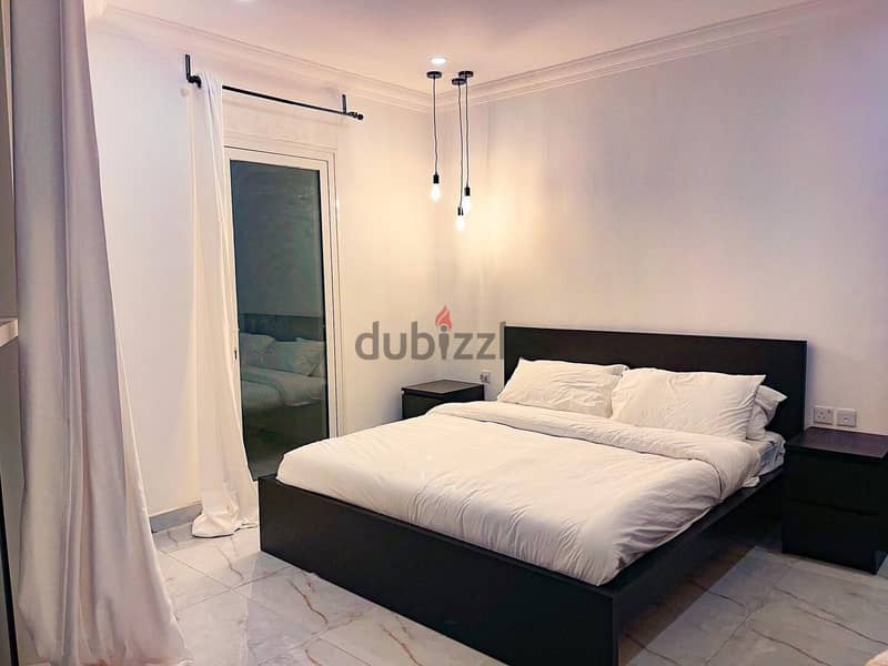 Modern and beautifully renovated apartment comes fully furnished 1