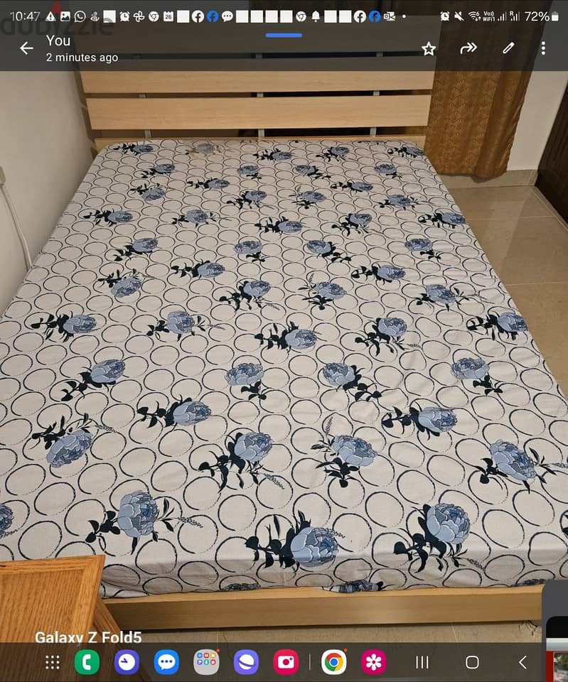 One Queen Size Double Bed without Mattress 2