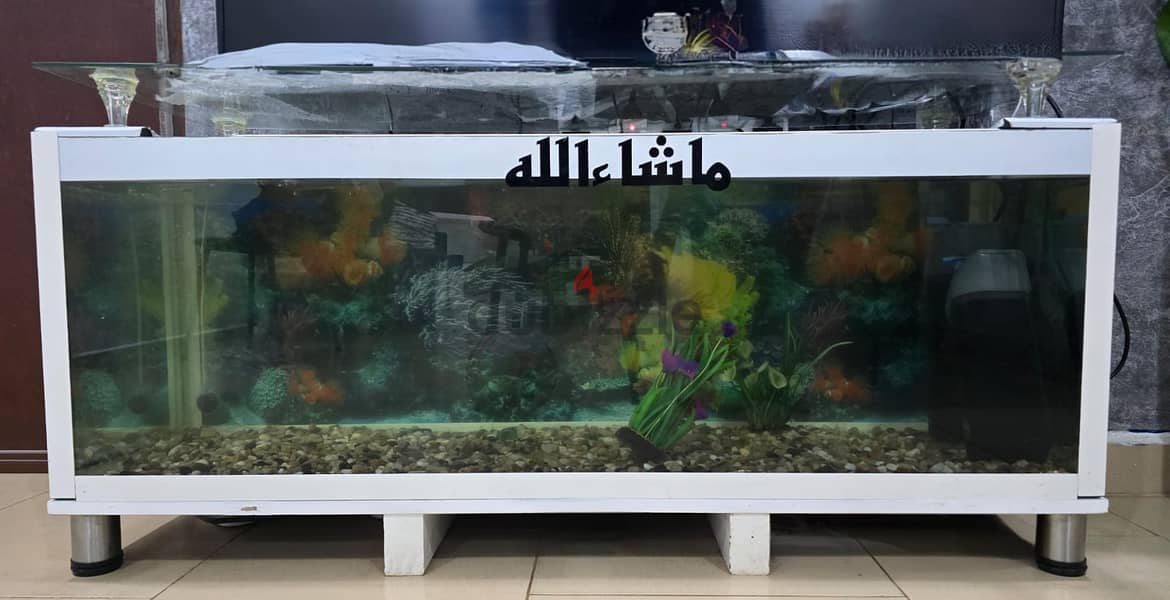 Customized fish tank 2