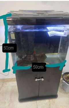 100 Liter Tank with wooden piece and filter