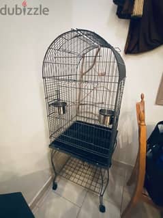 parrot cage for sale.