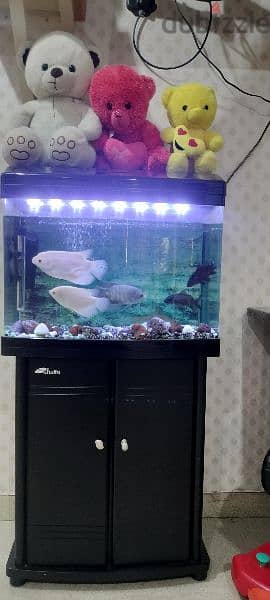 fish tank with 7 big fishes and all accessories 3