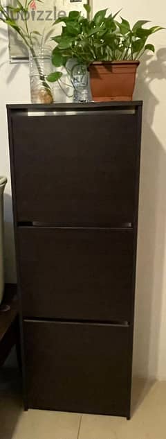 Shoe Cabinet with 3 comparments black