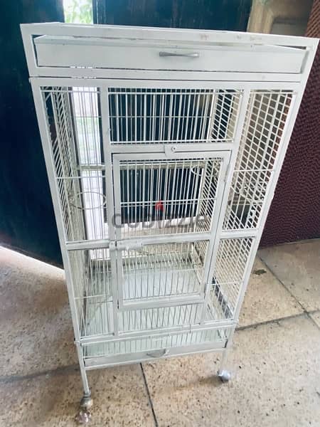 Bird cage for sale 0