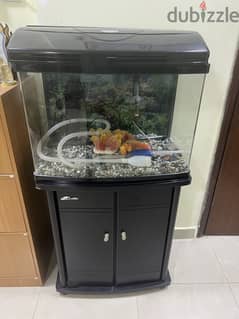 Fish Tank 0
