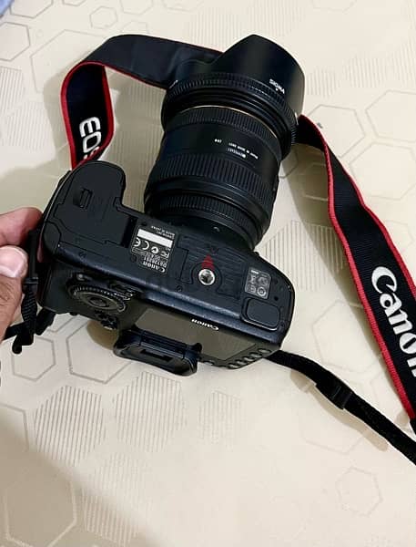 Canon 7d + lens 24-70 5