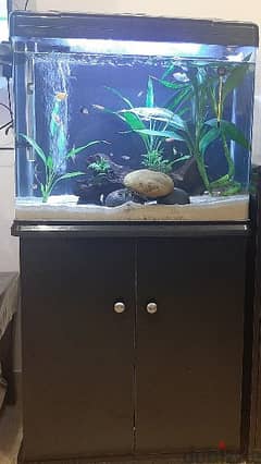 Aquarium fresh water tank