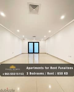 Modern Apartments for Rent in Funaitees