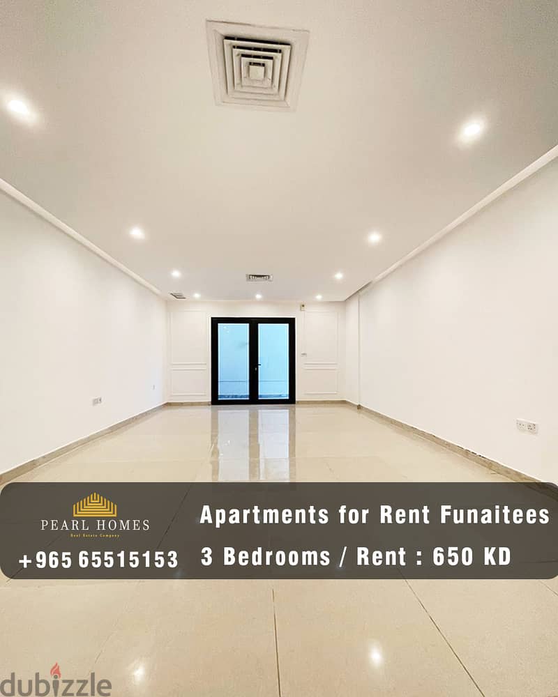 Modern Apartments for Rent in Funaitees 0