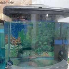 only aquarium