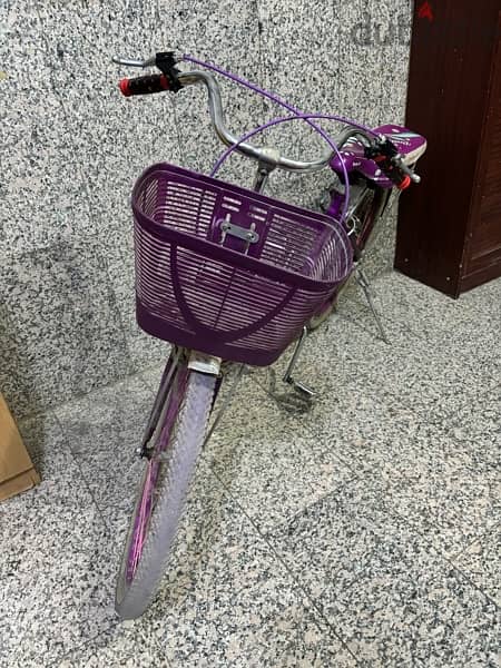 foldable Girls Bicycle 1