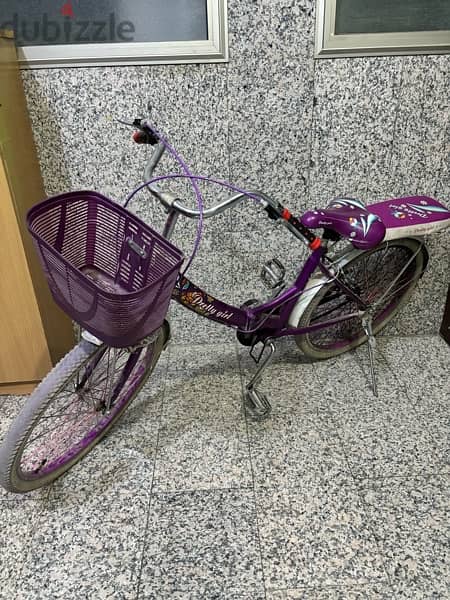 foldable Girls Bicycle 2