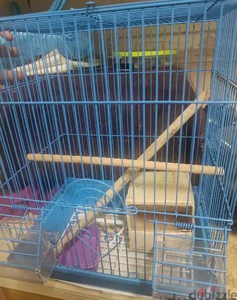 SELLING 4BIRDS+1 BIG CAGE+ 1 SMALL CAGE+1STAND 2