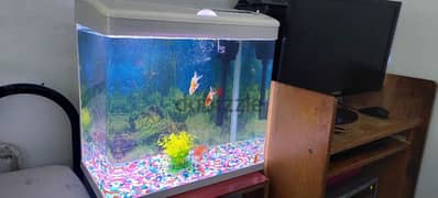 Fish Tank aquarium Sell 0