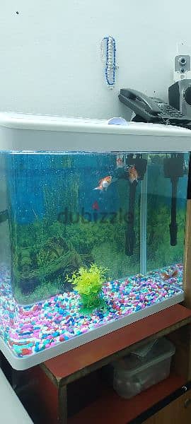 Fish Tank aquarium Sell 2