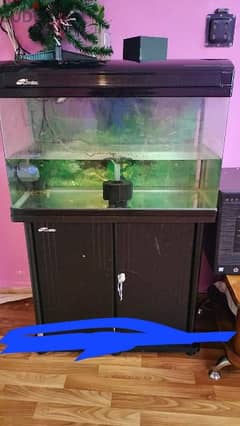fish tank for sale only. . 15 kd. . with water filter