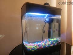 Small fish tank with water filter and lights