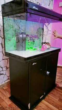 fish tank for sale. 2. water filter heater also sale