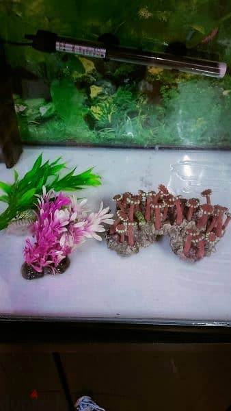 fish tank for sale. 2. water filter heater also sale 5