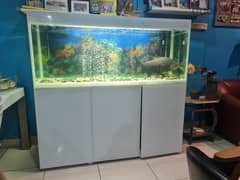 Brand New Fish Tank  with all accessories ( Aqual Aquarium )