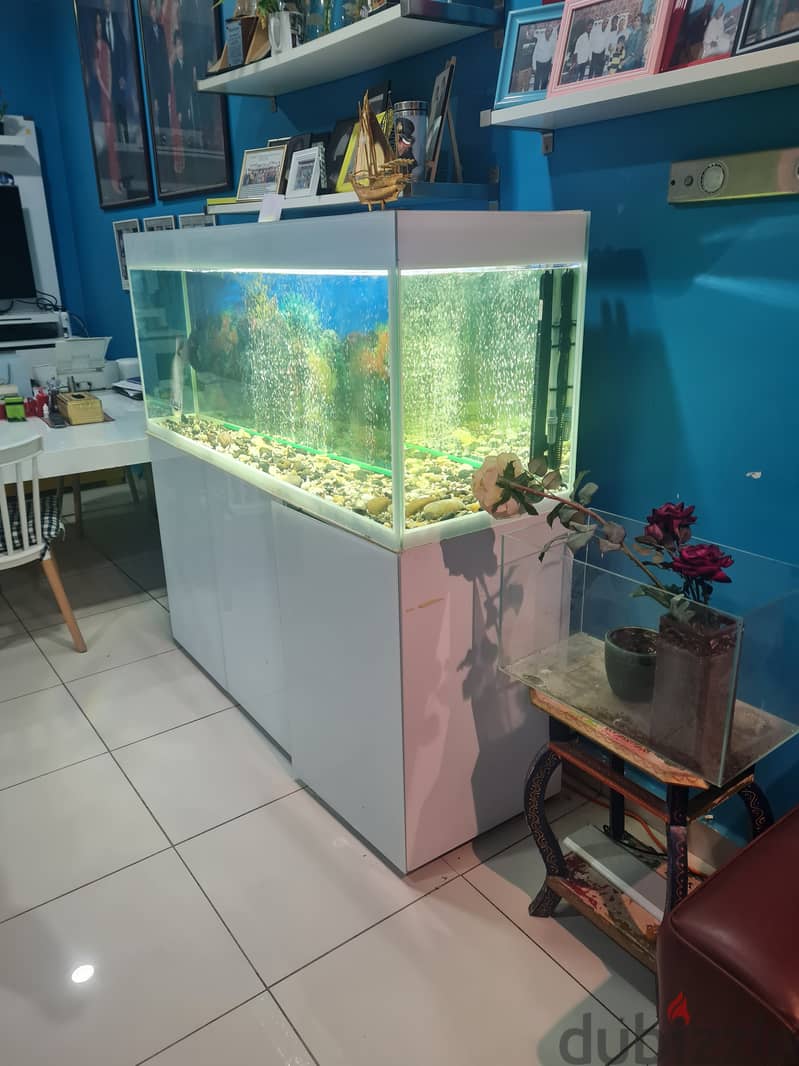 Brand New Fish Tank  with all accessories ( Aqual Aquarium ) 1