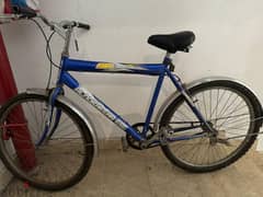 Adult Bicycle for sale