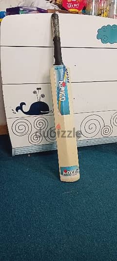 Brand New Cricket Bat 0