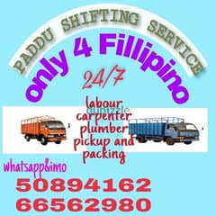 paddu indian shifting service 50894162