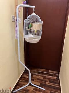 Birds with Cage & Stand