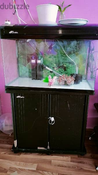 aquarium with filter and heater 1