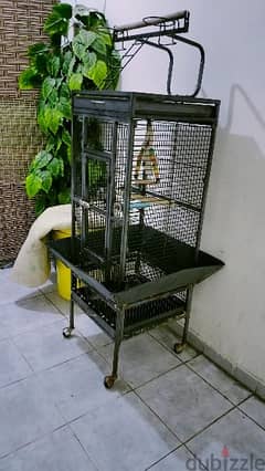 big cage for sale