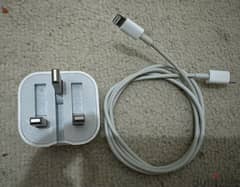 Apple 20 w adapter with light cable