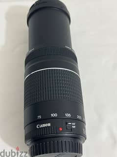 zoom lens for canon