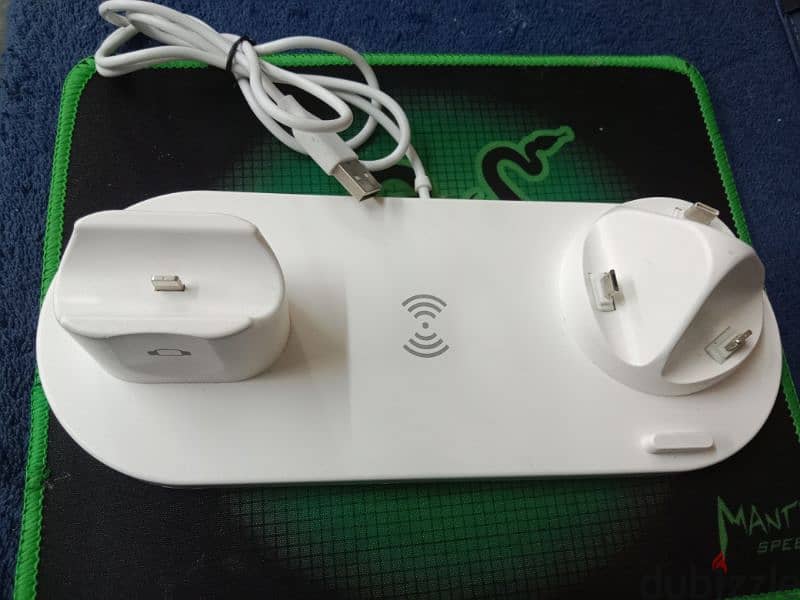 Multiple Chargers 1