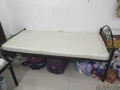 single cot available for sale