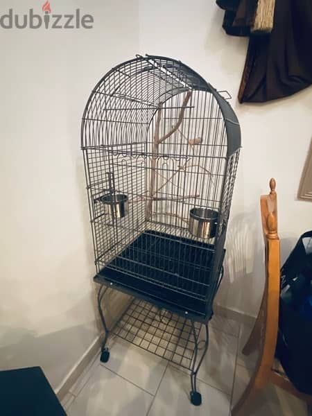 Bird cage for sale 1
