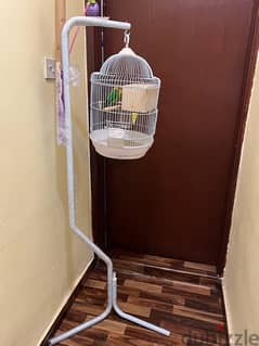 birds,cage&