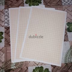 Graph papers( 24 sheets)
