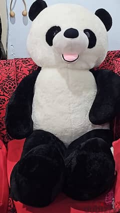 Huge Panda Doll            دمية الباندا الضخمة