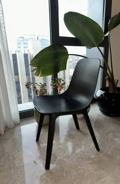 6 PIECES ODGER CHAIRS LIKE NEW